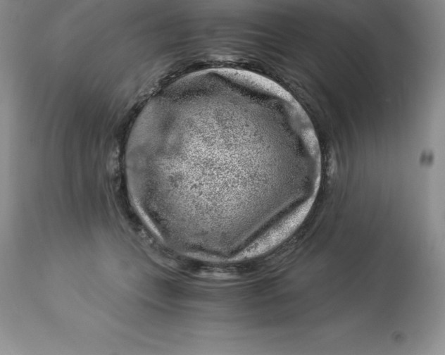 X0000112880559200909181851