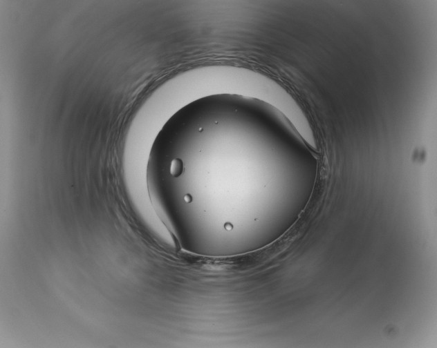 X0000112880560200909181851