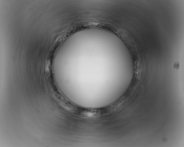 X0000112880563200909181851