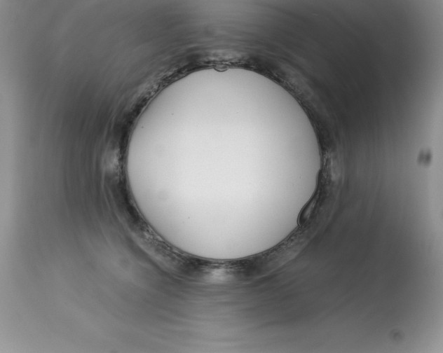 X0000112880564200909181851