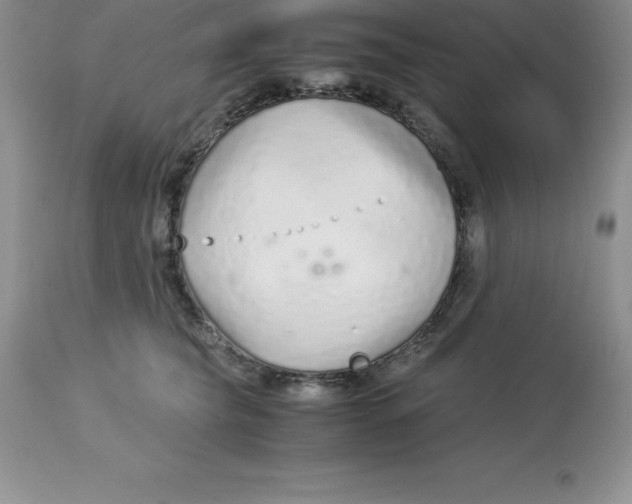 X0000112880565200909181851