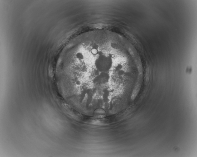 X0000112880569200909181851