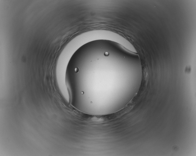 X0000112880570200909181851