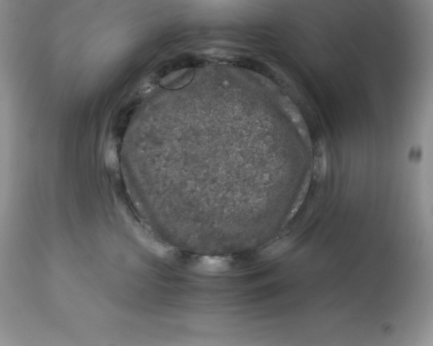 X0000112880573200909181851