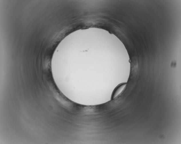 X0000112880574200909181851