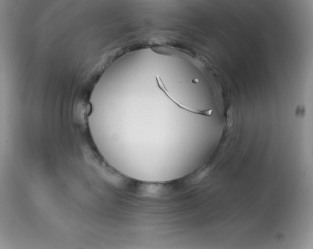 X0000112880575200909181851