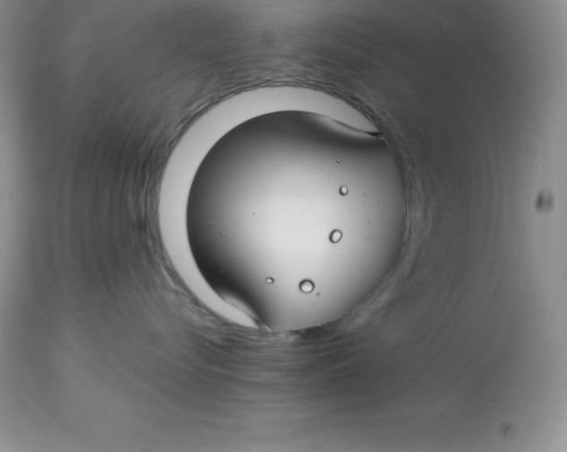 X0000112880576200909181851