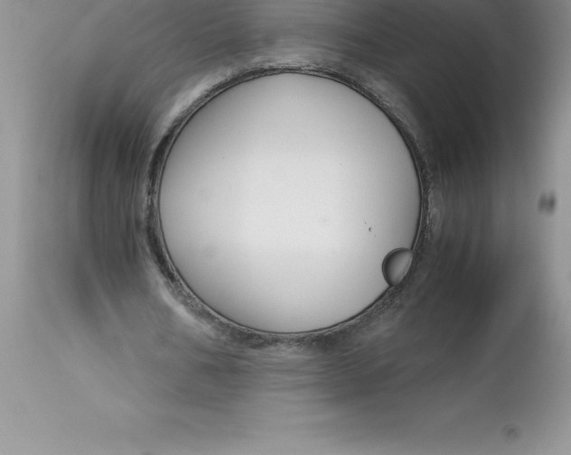 X0000112880578200909181850