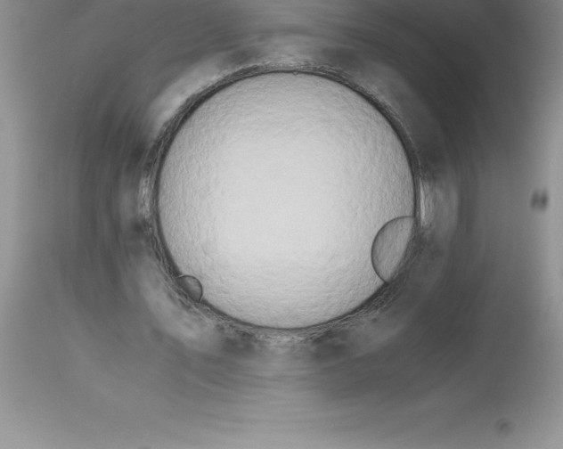 X0000112880579200909181850