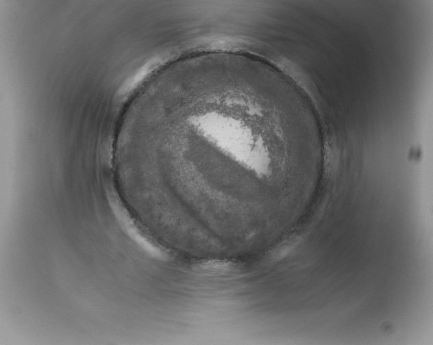 X0000112880581200909181850