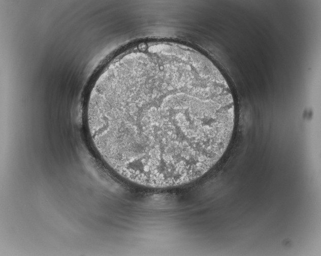 X0000112880584200909181850