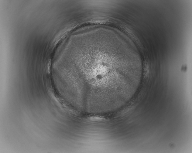 X0000112880586200909181850