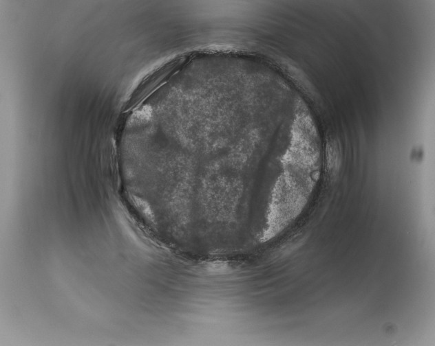 X0000112880588200909181850