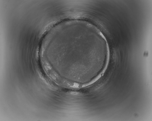 X0000112880590200909181850