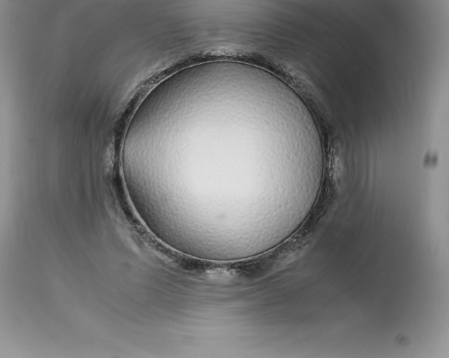 X0000112880591200909181850