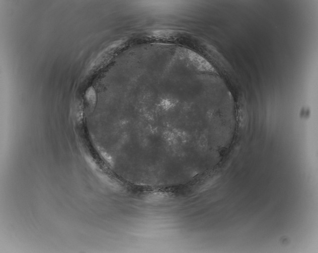 X0000112880593200909181850