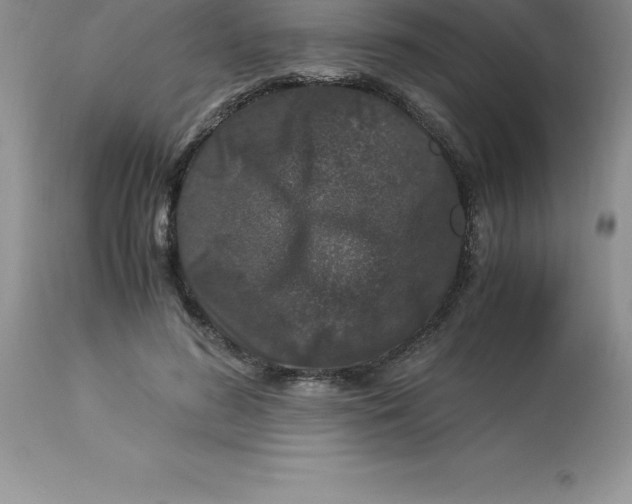 X0000112880596200909181850