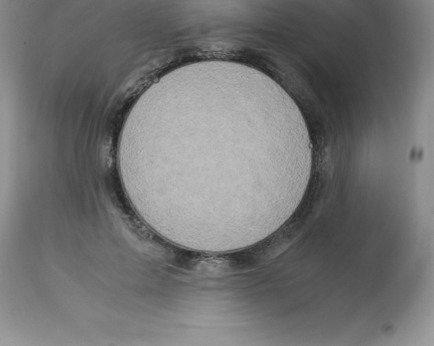 X0000112880599200909181850