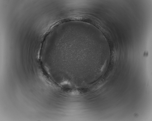 X0000112880600200909181850