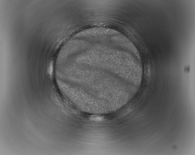 X0000112880602200909181850