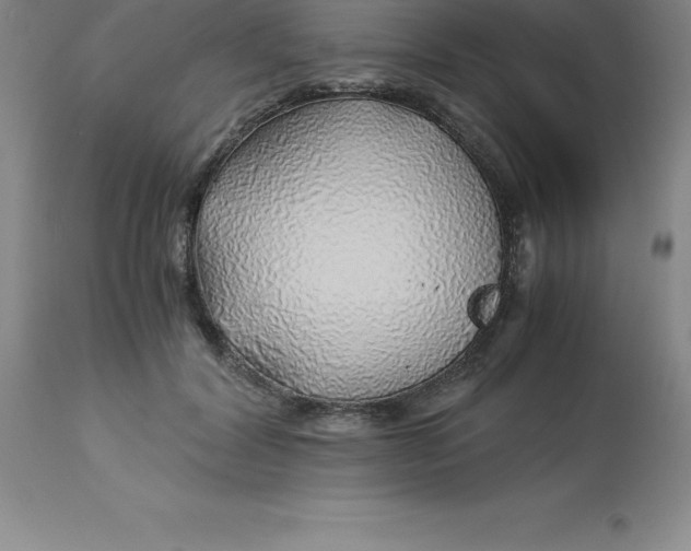 X0000112880604200909181850