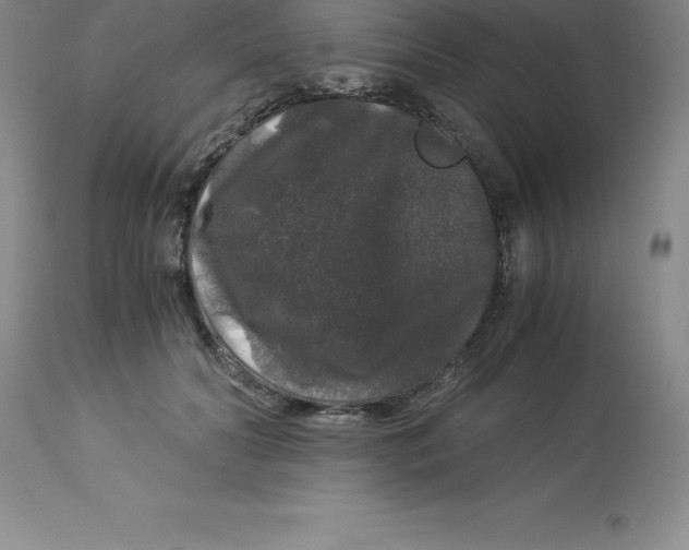 X0000112880606200909181850