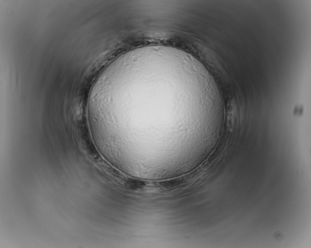 X0000112880608200909181850