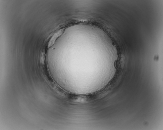 X0000112880612200909181850