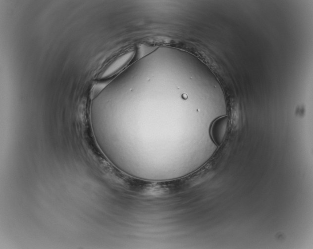 X0000112880616200909181850