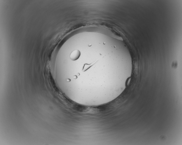 X0000112880617200909181849