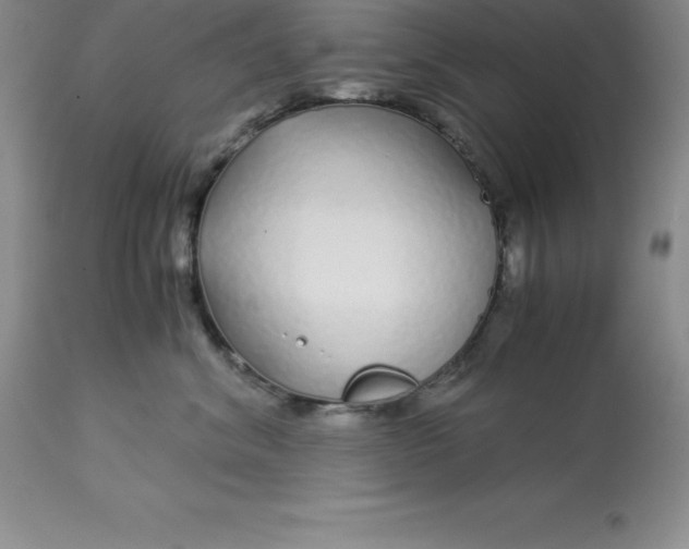 X0000112880620200909181849