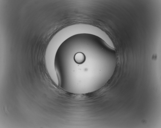 X0000112880621200909181849