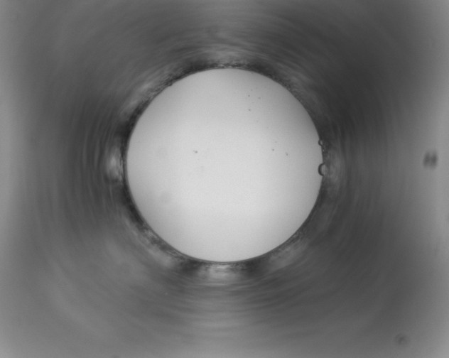 X0000112880622200909181849