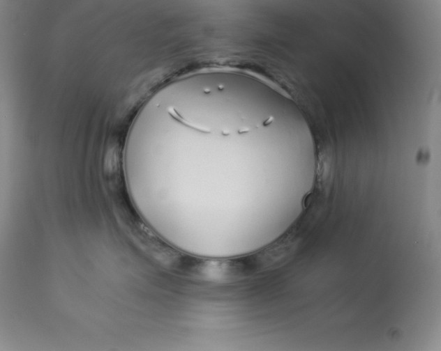 X0000112880623200909181849