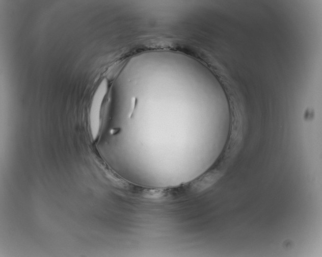 X0000112880624200909181849