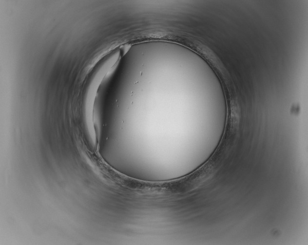 X0000112880626200909181849