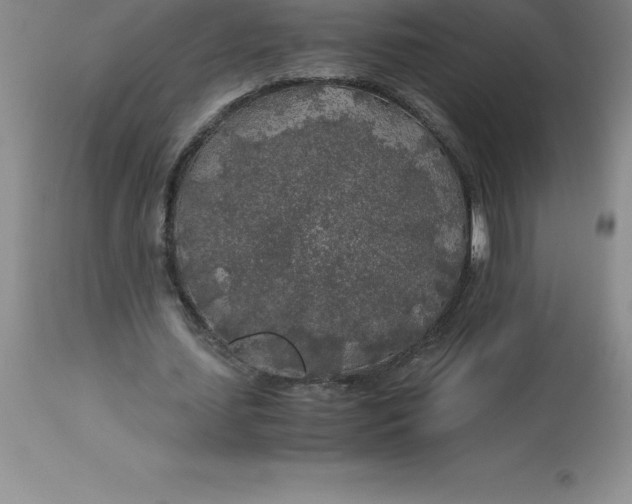 X0000112880627200909181849