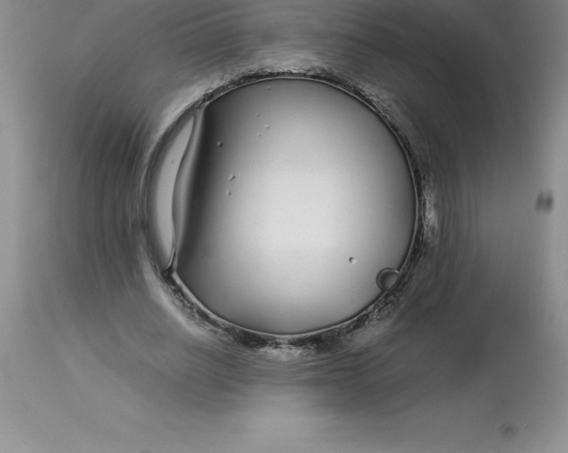 X0000112880630200909181849