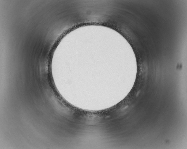 X0000112880632200909181849