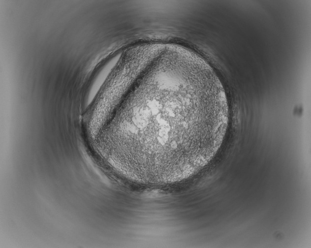 X0000112880634200909181849