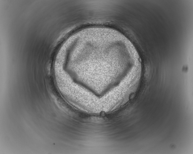 X0000112880636200909181849