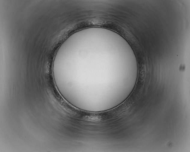 X0000112880639200909181849