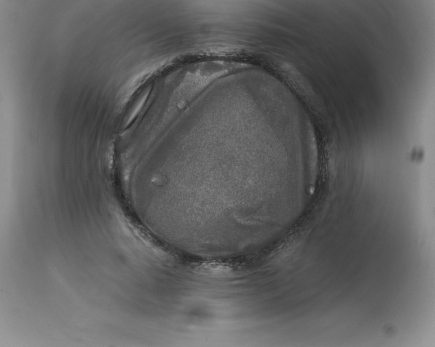 X0000112880640200909181849