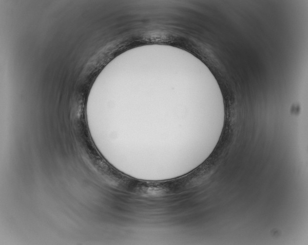 X0000112880645200909181849