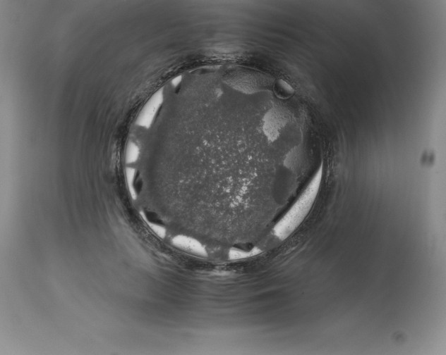 X0000112880647200909181849