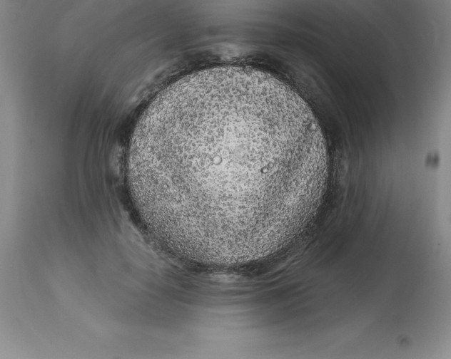 X0000112880650200909181849