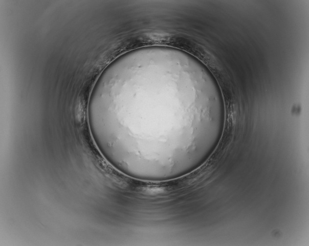 X0000112880651200909181849