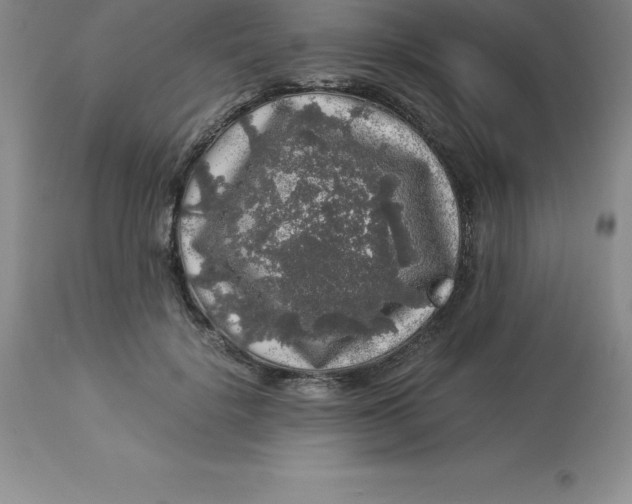 X0000112880652200909181849