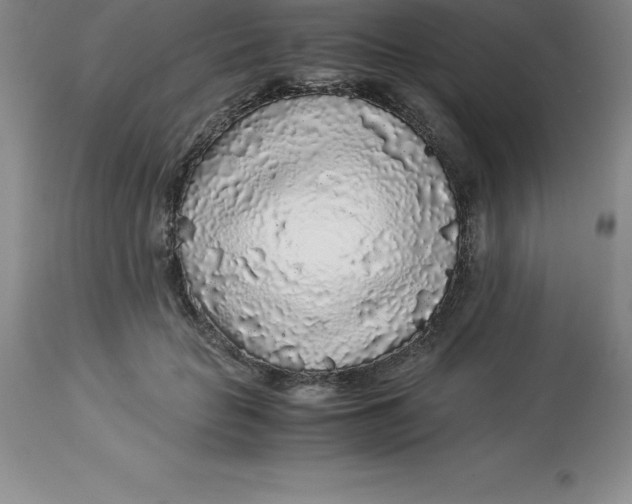 X0000112880653200909181849