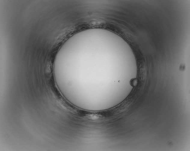 X0000112880654200909181849